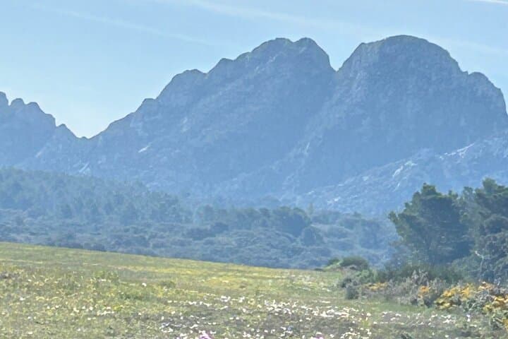 Best of Provence