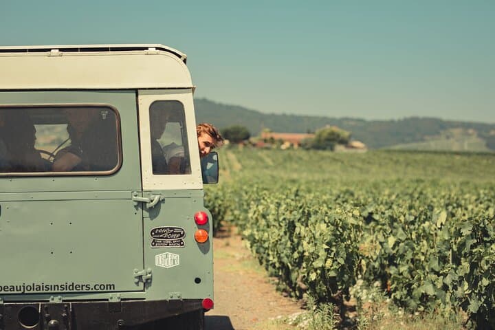 Our Vintage Land Rovers are perfect to go discover the vines and vineyards from up close