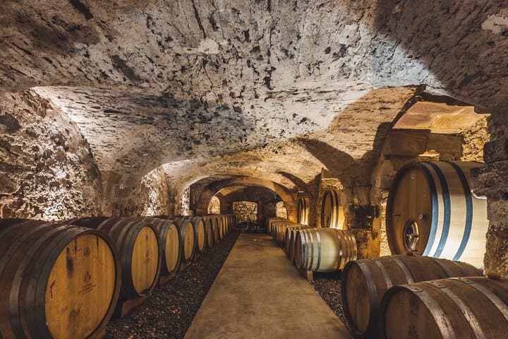 Private Full Day Wine Tour in Provence from Toulon Cruise Port