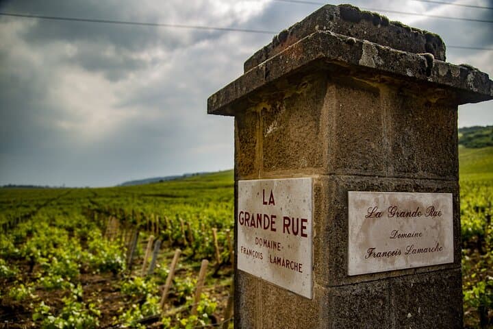 Luxurious Wine Tour in Burgundy
