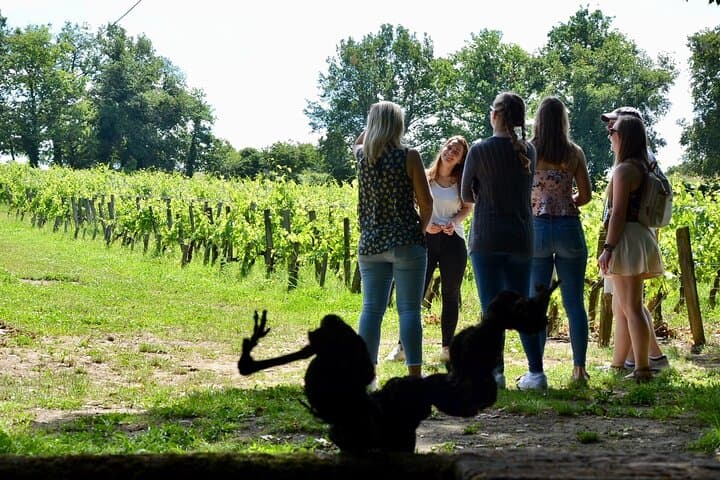 Half-Day E-Bike Tour In Entre-Deux-Mers W/ Wine tasting & Lunch