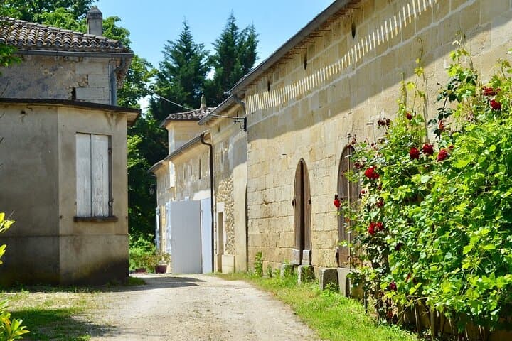 Half-Day E-Bike Tour In Entre-Deux-Mers W/ Wine tasting & Lunch