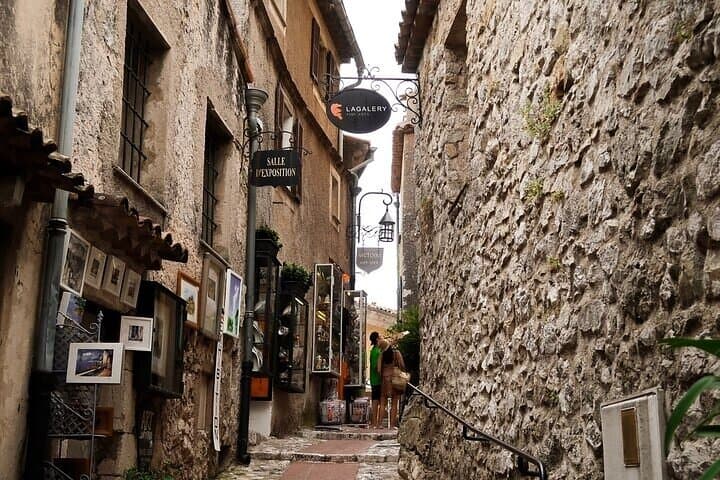 Private day trip from Cannes to Eze & Monaco with a local driver
