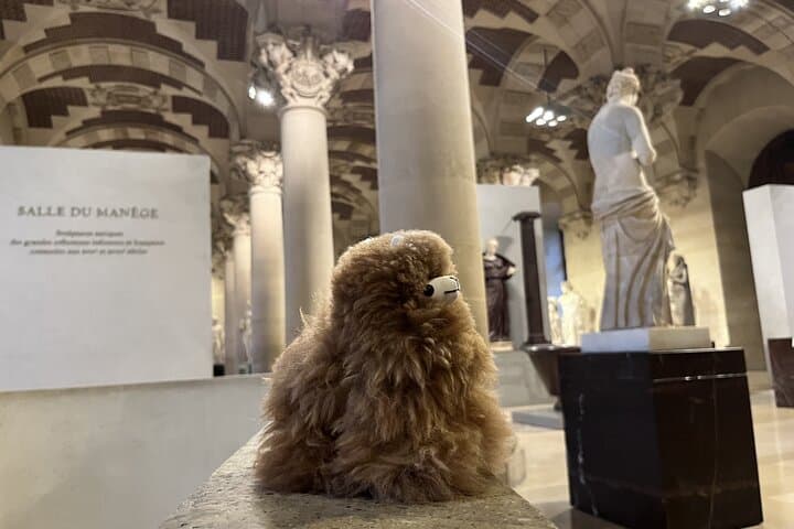Louvre: All the stars of museum - Private guided 3h tour & entry