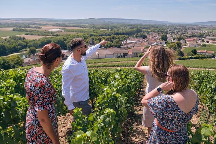 Vineyards