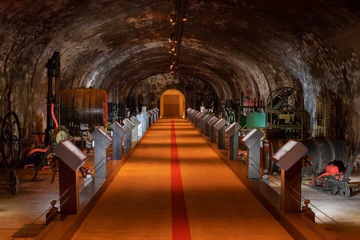 Reims or Epernay: Full day Champagne Mumm, family grower & lunch