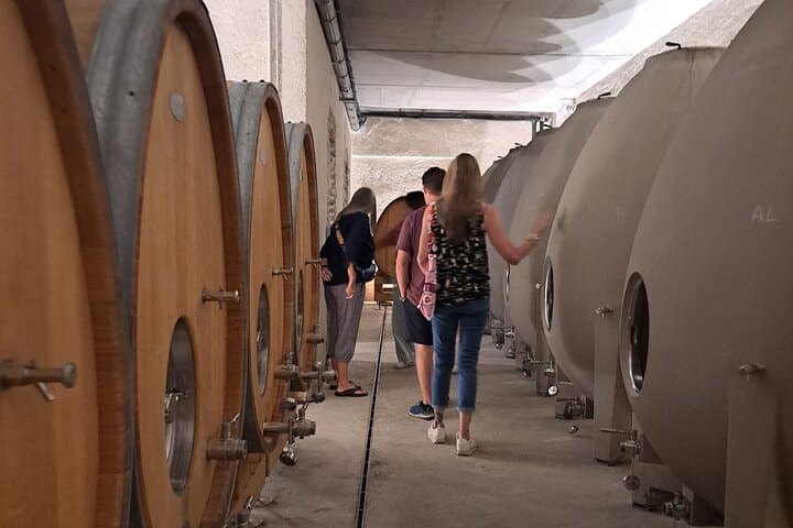 1-day guided tour on the Burgundy Wine Route in a classic car