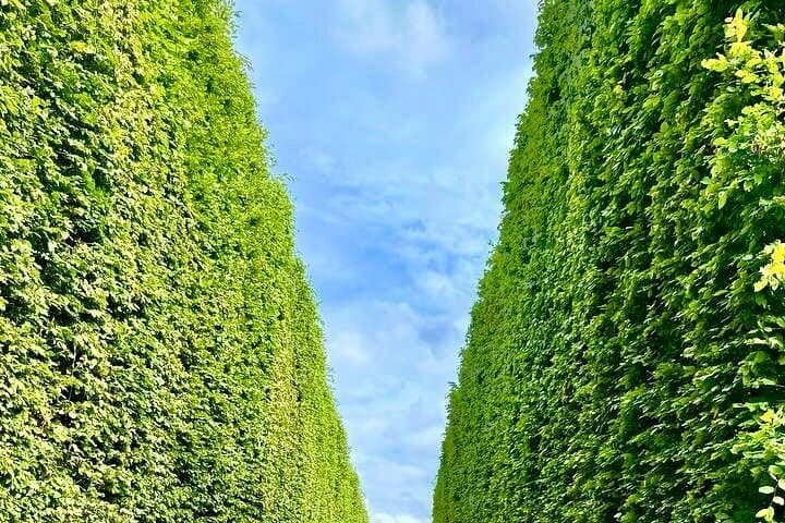 Giverny and Chateau du Champ de Bataille Private Tour from Paris