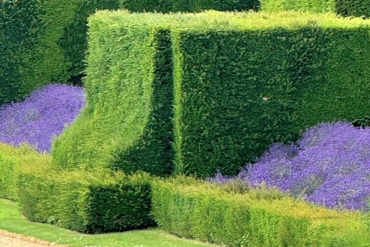 Giverny and Chateau du Champ de Bataille Private Tour from Paris