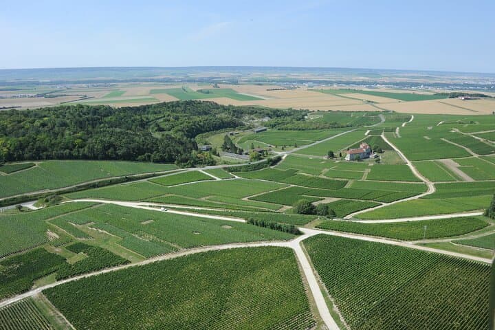 aerial view vineyard of Nogent L'Abbesse