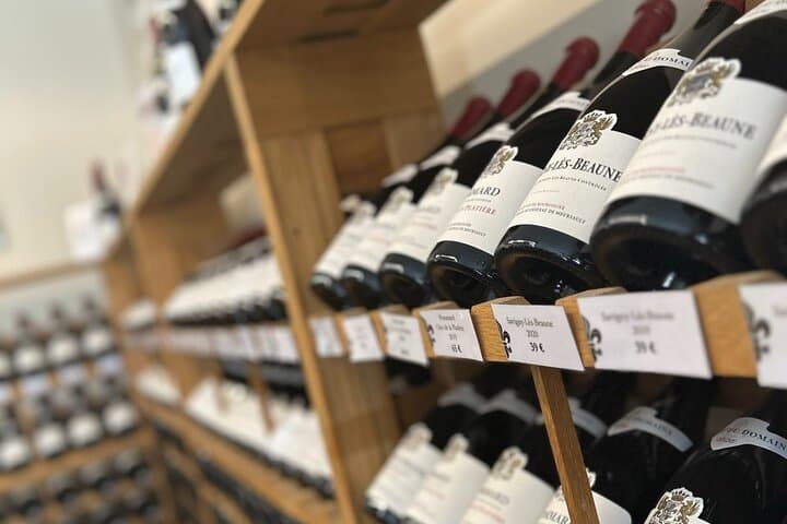 Excursion Full Day Discovery Beaune Vineyards and Gastronomy