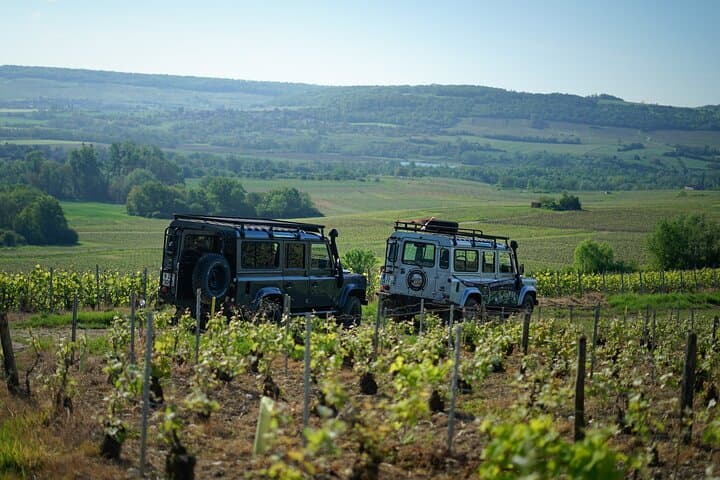 Private Tour of a Wine Estate and Tasting in Trélou-sur-Marne