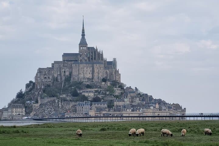 2 hour guided tour of Mont Saint Michel, abbey ticket included