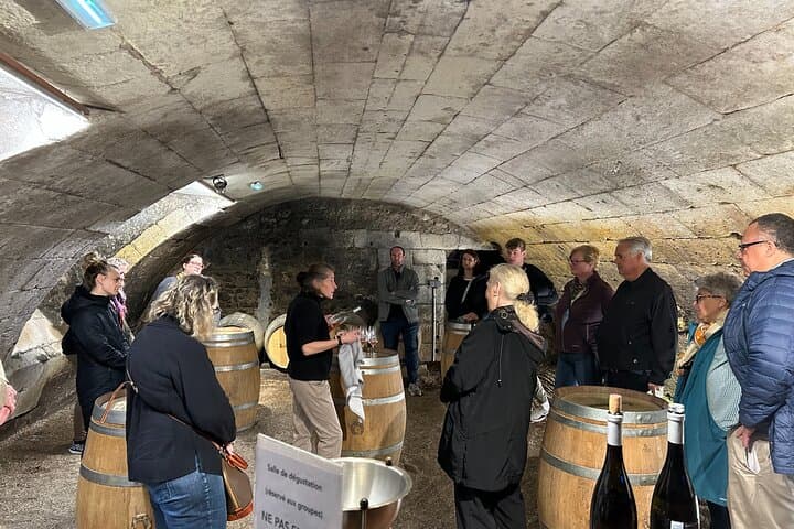 Loire Valley Day Trip from Pairs With Wine and Cheese Pairing