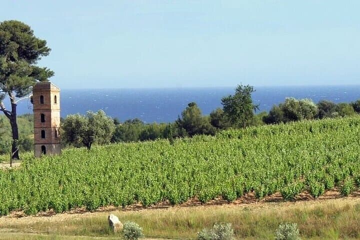 2 Best Villages of Var Region and Wine Tasting from Sanary port