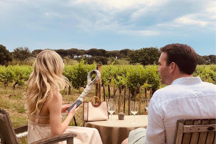 wine tour by van from saint tropez