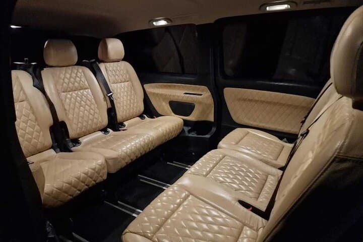 Private Disneyland Return Transfer Up to 6 People