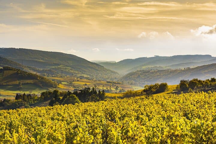 Landscape in Burgundy