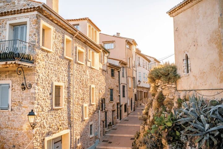 History with Art and Culture Immersion from Antibes Cruise Port