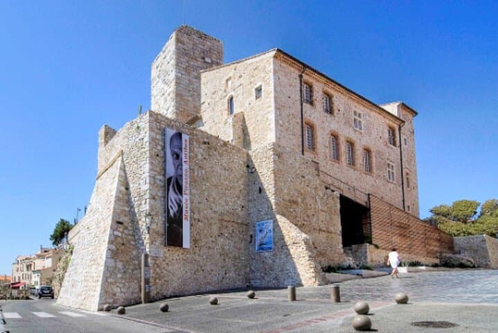 History with Art and Culture Immersion from Antibes Cruise Port