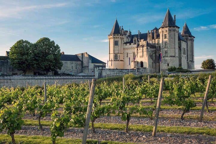 3-Day Private 7 Loire Castles and 2 Wine Tastings from Paris