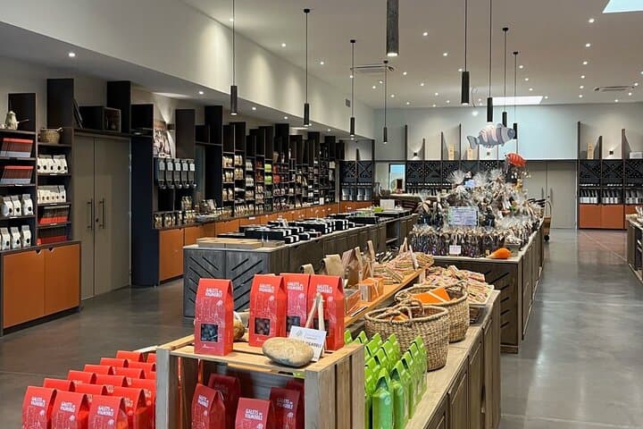 Discover Avignon City of Popes with Unique Food and Wine Tasting