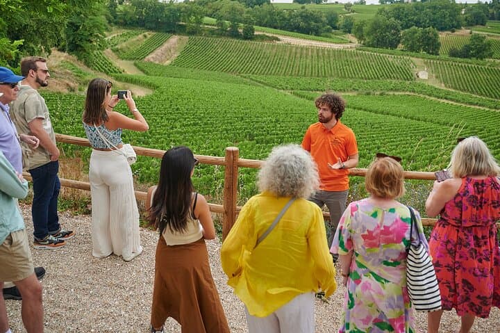 Saint-Emilion Grand Cru Classé: Visit & Tasting in English