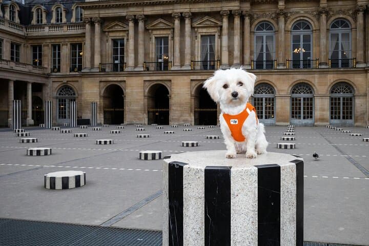 Amazing Colonne de Buren Photoshoot