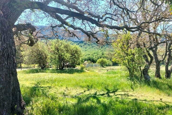 On Mary Magdalene Path : Cave, Relics & Sainte-Baume Secrets