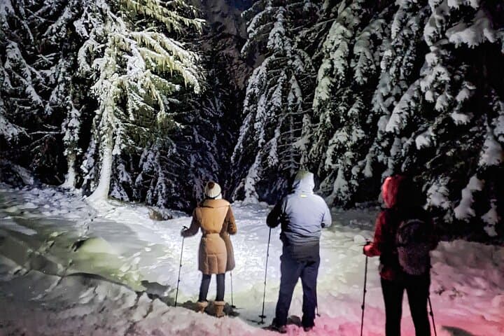 Private Chamonix Snowshoeing Experience Under the Stars tour