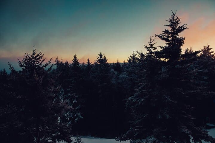 Private Chamonix Snowshoeing Experience Under the Stars tour