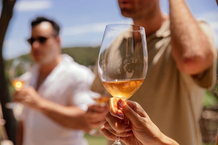 Private Horseback Riding with Wine Tasting & Picnic in Bordeaux