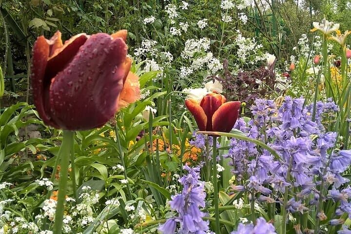 Private Round Trip Transfer from Paris to Giverny by Sedan or Van