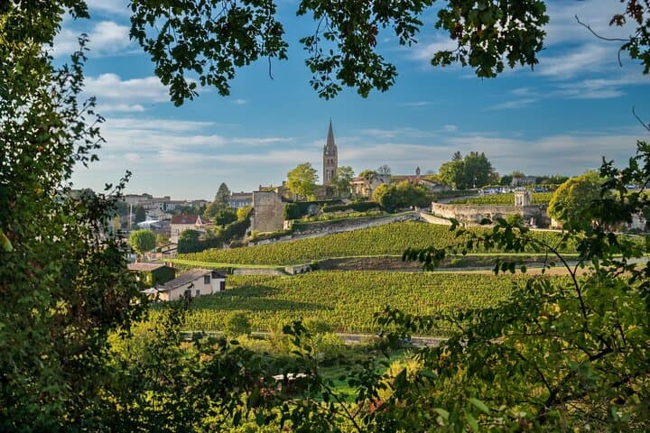 Discover beautiful vineyards