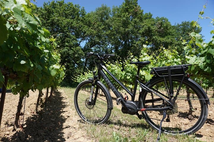 The Carrières de Lumières by e-bike