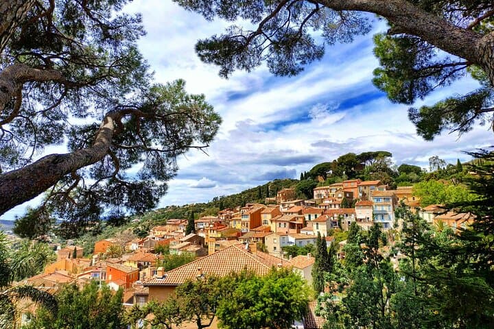 Private Luxury Wine Shore Excursion from Saint-Tropez Port