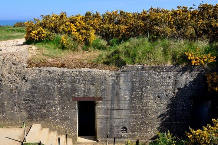 Private Normandy D-Day & World War II Day Trip from Paris