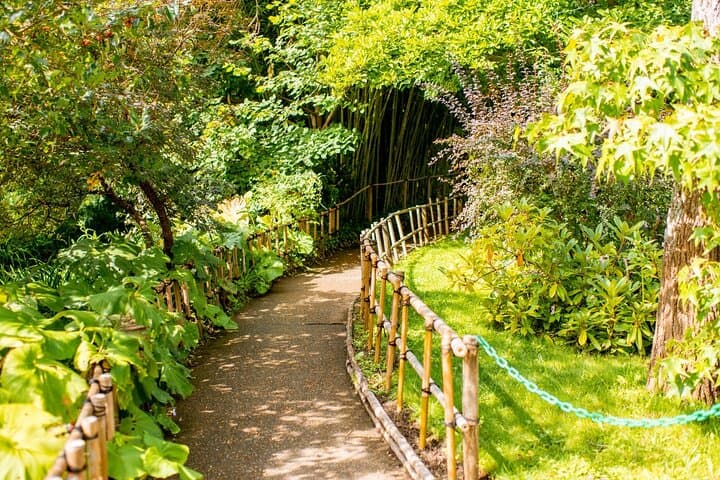Giverny And Monets Gardens Private Tour from Paris