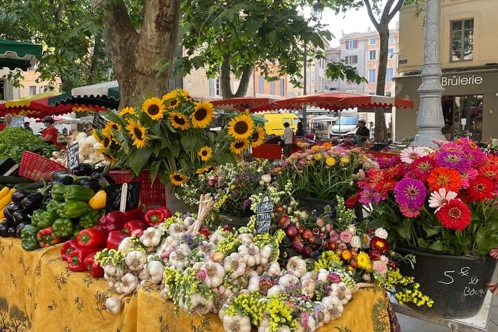 Taste of Provence - Wine and Scenery around Aix-en-Provence