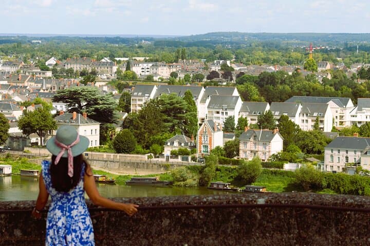 Paris VIP: Loire Valley Castles VIP Chauffeur Driven Tour 12hrs