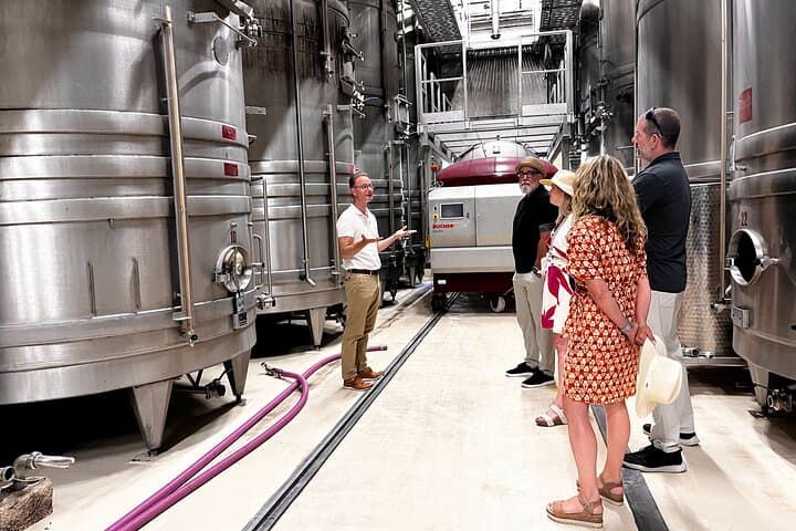 Half-day Wine Tour in Bellet wine region from Nice