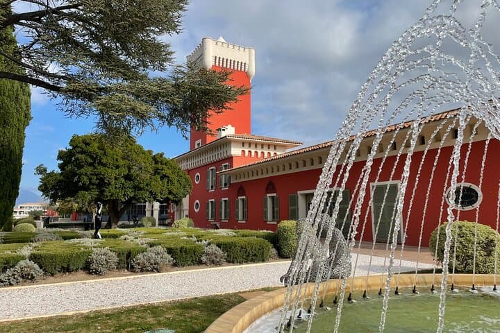 Half-day Wine Tour in Bellet wine region from Nice