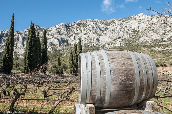 From Aix-en-Provence : Half-day Sidecar Wine Tour