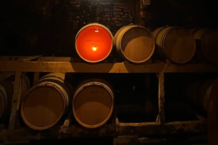 Jura Private Wine Tour