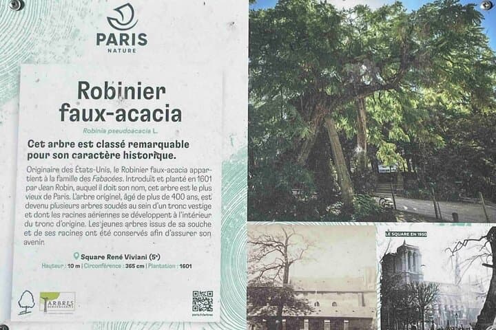 Before Sunset: A Self-Guided Walking Tour Through Paris