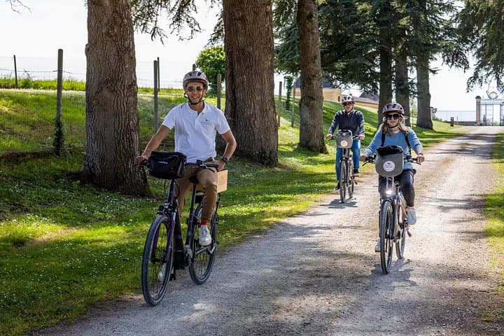 Saint-Emilion E-Bike Wine Tour | Wine & vines & Gourmet Picnic