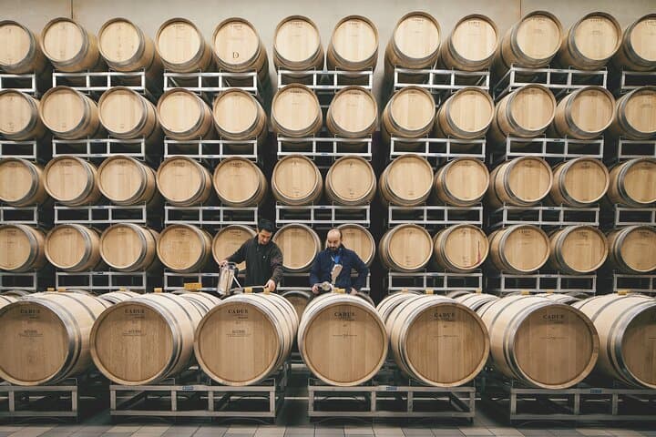 Visit of the barrel cellar