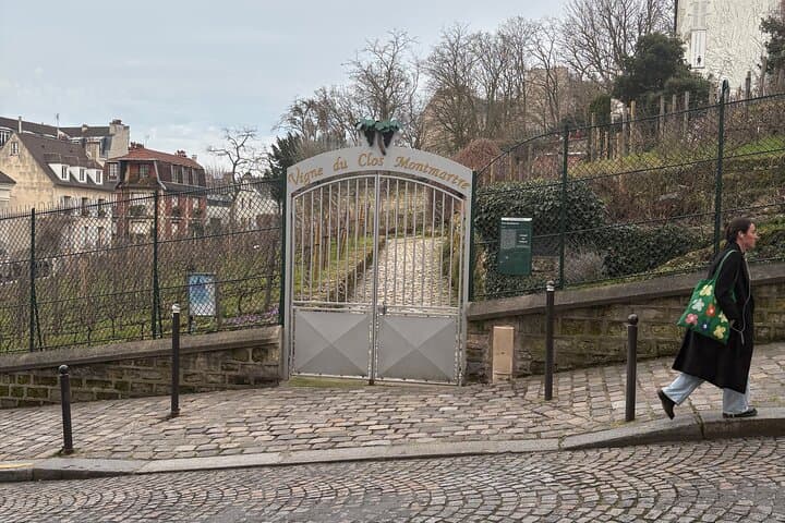 Vigne du Clos Montmartre