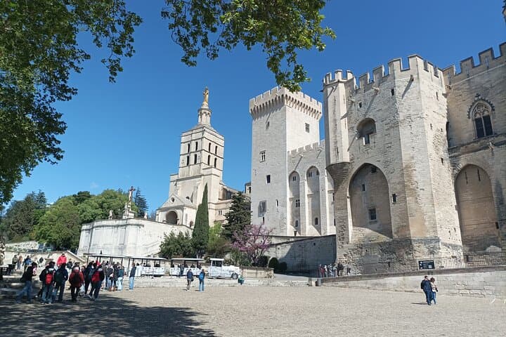 Private tour in Avignon and Pont du Gard