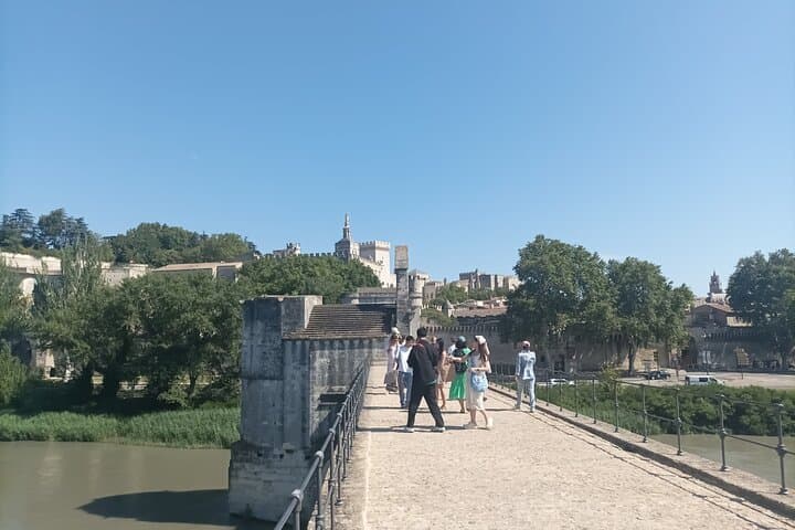 Private tour in Avignon and Pont du Gard